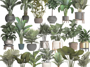 collection of potted plants for the interior of 20 pieces new 3D Model