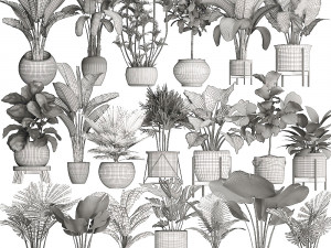 collection of potted plants for the interior of 20 pieces new 3D Model
