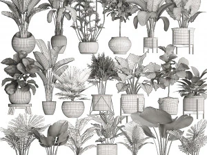 collection of potted plants for the interior of 20 pieces new 3D Model