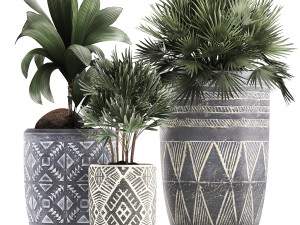 decorative plants in flower pots for the interior 475 3D Model