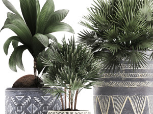 decorative plants in flower pots for the interior 475 3D Model