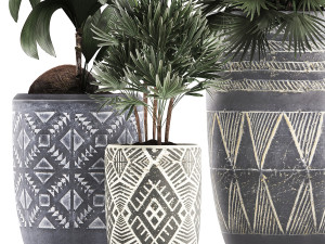 decorative plants in flower pots for the interior 475 3D Model