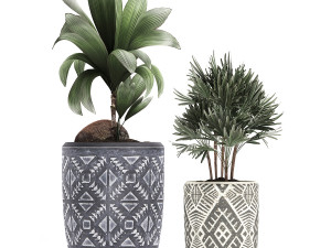 decorative plants in flower pots for the interior 475 3D Model