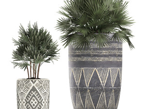 decorative plants in flower pots for the interior 475 3D Model