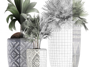 decorative plants in flower pots for the interior 475 3D Model