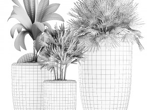 decorative plants in flower pots for the interior 475 3D Model
