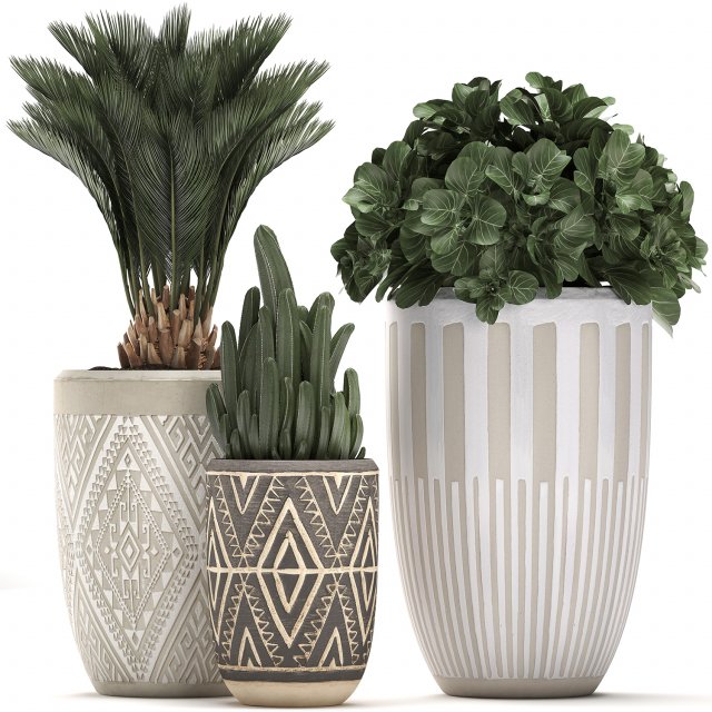 decorative plants in flower pots for the interior 476 3D 模型 .c4d .max .obj .3ds .fbx .stl .blend