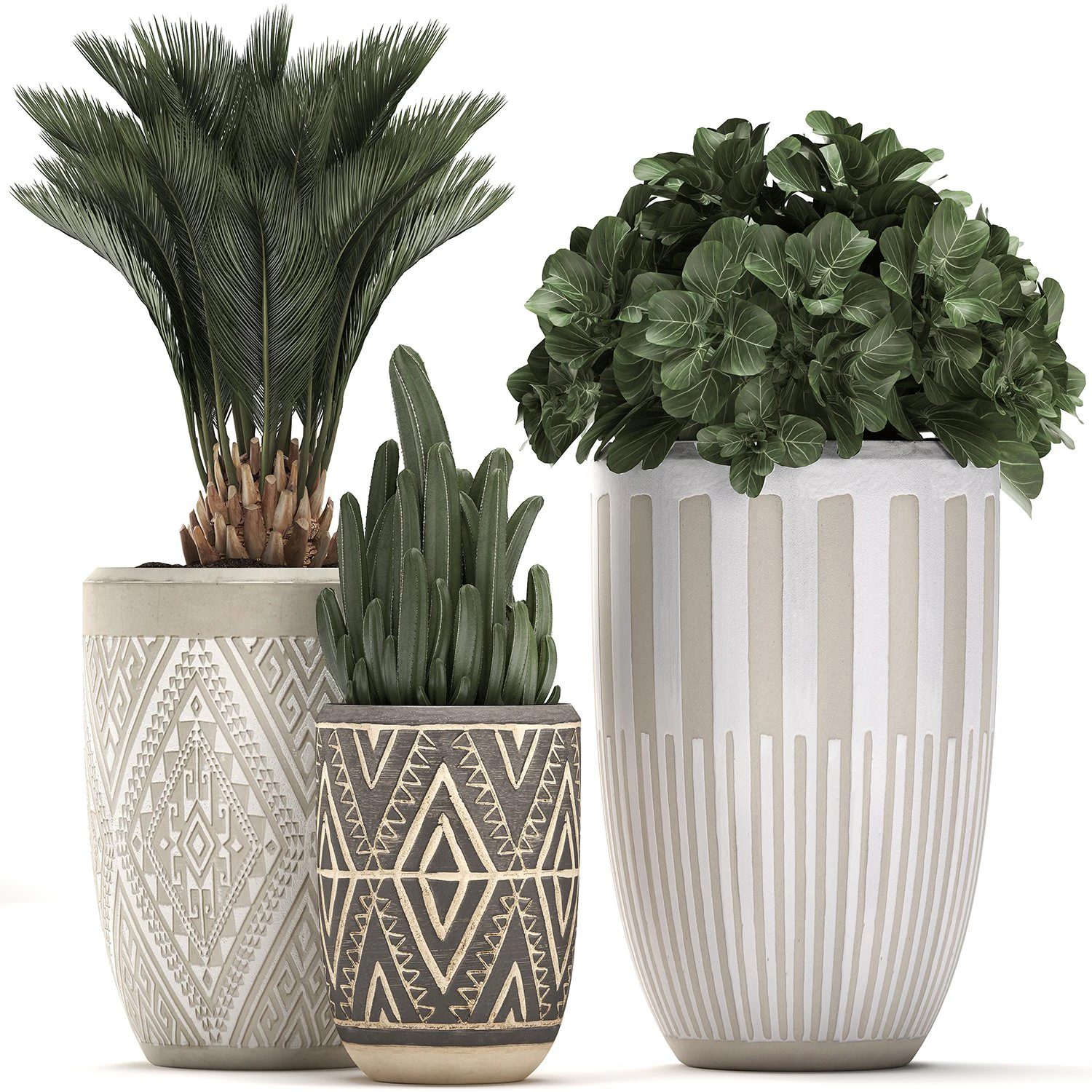 decorative plants in flower pots for the interior 476 3D Model .c4d .max .obj .3ds .fbx .stl .blend 