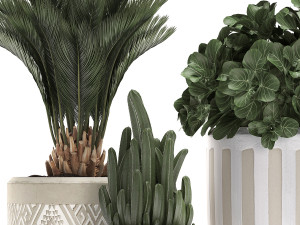 decorative plants in flower pots for the interior 476 3D 模型