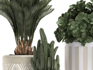 decorative plants in flower pots for the interior 476 3D Model