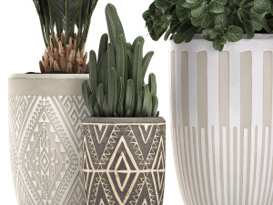 decorative plants in flower pots for the interior 476 3D 模型
