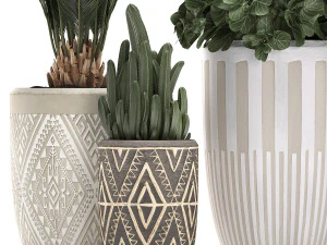 decorative plants in flower pots for the interior 476 3D Model