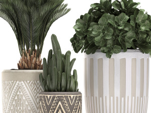 decorative plants in flower pots for the interior 476 3D 模型