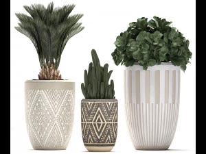 decorative plants in flower pots for the interior 476 3D Model