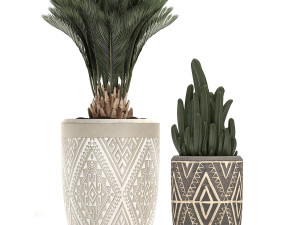 decorative plants in flower pots for the interior 476 3D 模型