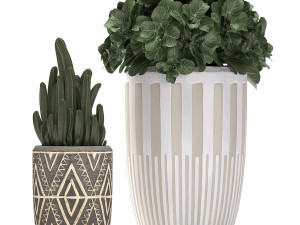 decorative plants in flower pots for the interior 476 3D 模型
