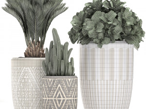 decorative plants in flower pots for the interior 476 3D 模型