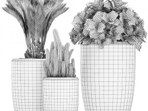 decorative plants in flower pots for the interior 476 3D 模型