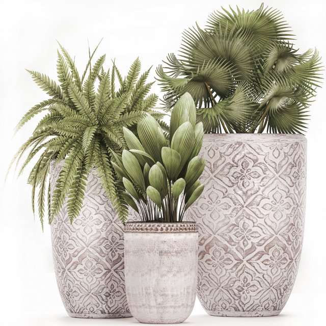 decorative plants in flower pots for the interior 477 3D Model .c4d .max .obj .3ds .fbx .stl .blend 