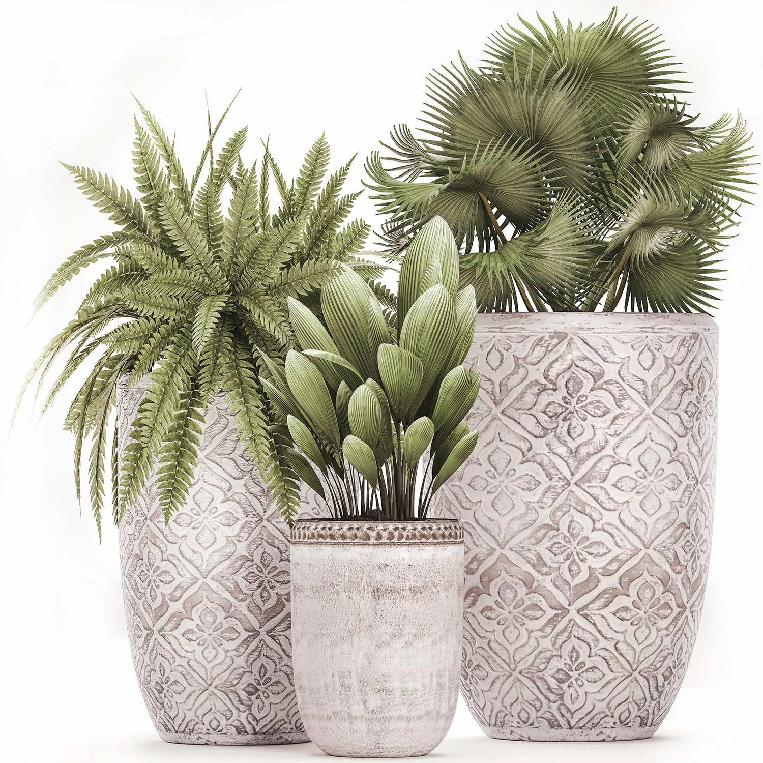 plantas decorativas em vasos de flores para o interior 477 Modelo 3D .c4d .max .obj .3ds .fbx .stl .blend 