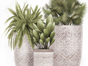 decorative plants in flower pots for the interior 477 Modelo 3D