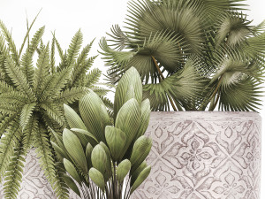 decorative plants in flower pots for the interior 477 3D Model