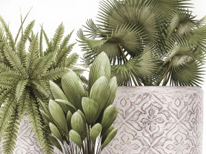 plantas decorativas em vasos de flores para o interior 477 Modelo 3D
