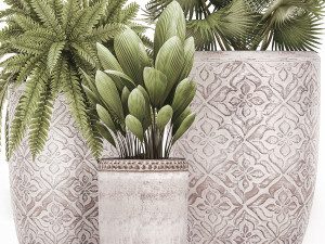 decorative plants in flower pots for the interior 477 3D Model