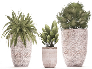 decorative plants in flower pots for the interior 477 3D Model
