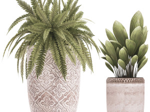 decorative plants in flower pots for the interior 477 3D Model