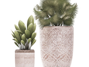 decorative plants in flower pots for the interior 477 3D Model