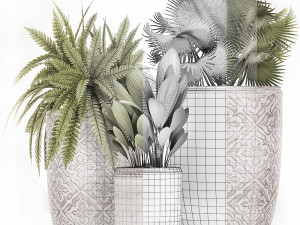 decorative plants in flower pots for the interior 477 3D Model