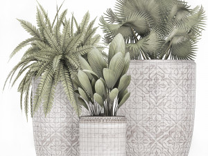 decorative plants in flower pots for the interior 477 3D Model