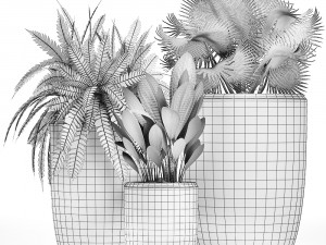 decorative plants in flower pots for the interior 477 3D Model
