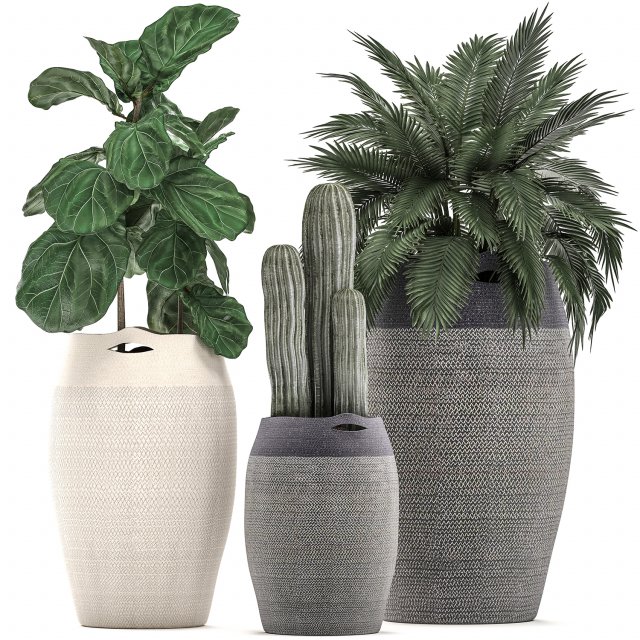 decorative plants in flower pots for the interior 478 Modelo 3D .c4d .max .obj .3ds .fbx .stl .blend 