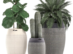 decorative plants in flower pots for the interior 478 3D Model