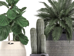 decorative plants in flower pots for the interior 478 Modelo 3D
