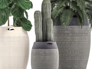 decorative plants in flower pots for the interior 478 Modelo 3D