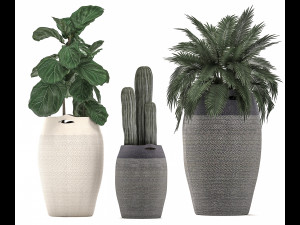 decorative plants in flower pots for the interior 478 Modelo 3D