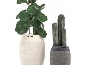 decorative plants in flower pots for the interior 478 Modelo 3D