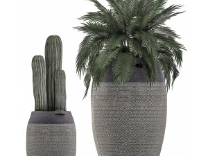 decorative plants in flower pots for the interior 478 Modelo 3D