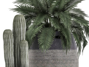 decorative plants in flower pots for the interior 478 Modelo 3D