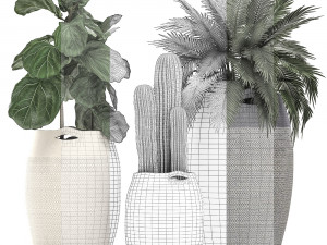 decorative plants in flower pots for the interior 478 Modelo 3D