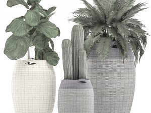 decorative plants in flower pots for the interior 478 Modelo 3D