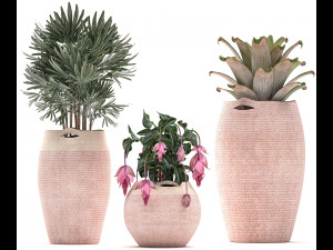decorative plants in flower pots for the interior 479 Model 3D