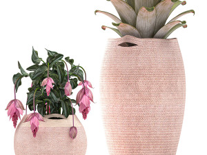 decorative plants in flower pots for the interior 479 Model 3D