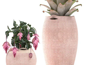 decorative plants in flower pots for the interior 479 3D Model