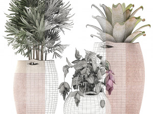 decorative plants in flower pots for the interior 479 Model 3D