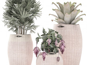 decorative plants in flower pots for the interior 479 Model 3D