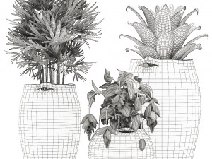 decorative plants in flower pots for the interior 479 Model 3D